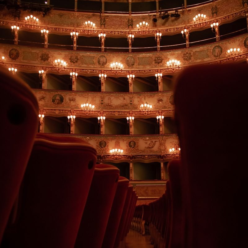 Palydovas į teatrą ir renginius – teatro salė